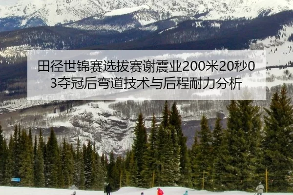 田径世锦赛选拔赛谢震业200米20秒03夺冠后弯道技术与后程耐力分析