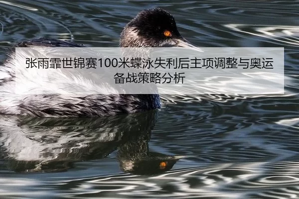 zhang-yu-fei-shi-jin-sai-mi-die-yong-shi-li-hou-zhu-xiang-tiao-zheng-yu-ao-yun-bei-zhan-ce-lve-fen-xi-3-605.jpg